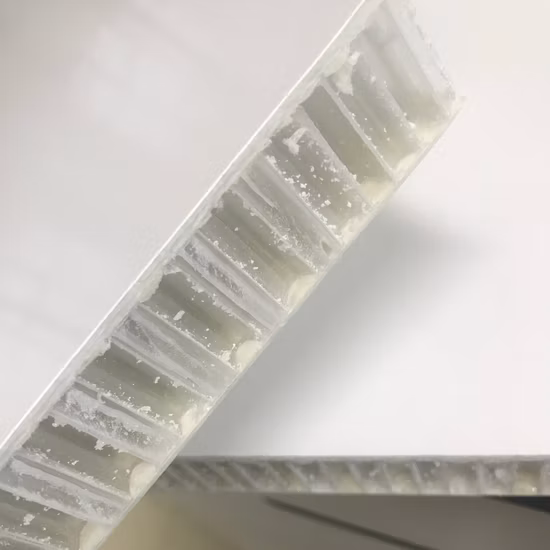 Panel de tablero de panal de techo termoplástico PP CFR